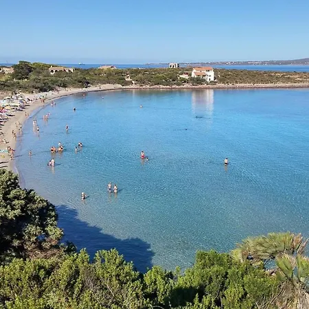 Via Delle Mimose 14 Σπίτι διακοπών